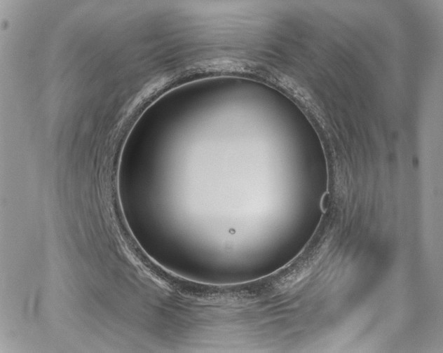 X0000062140625200512091216