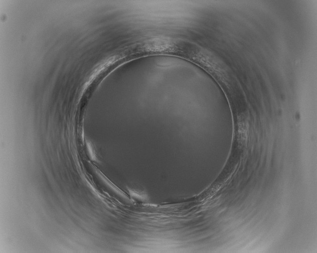 X0000062140626200512091216