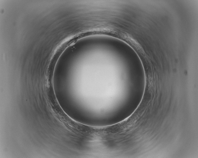 X0000062140628200512091216