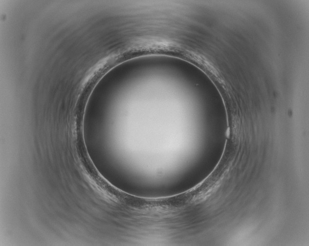 X0000062140629200512091216