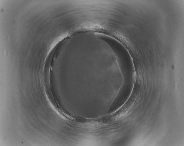 X0000062140630200512091216