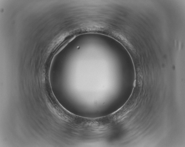 X0000062140631200512091216