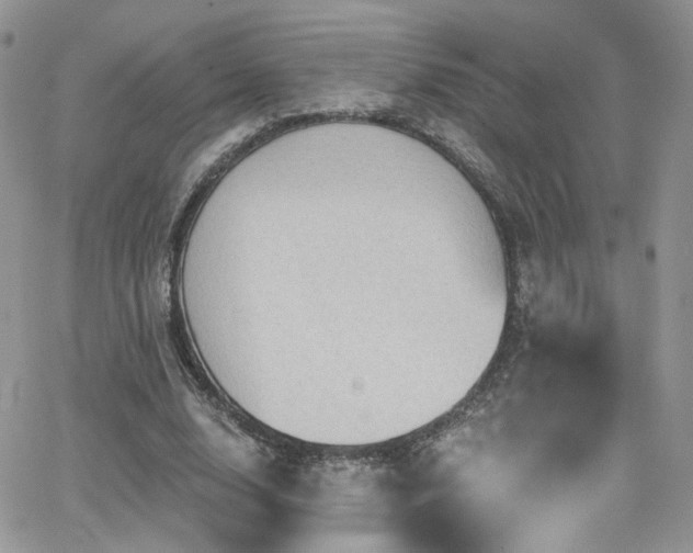 X0000062140632200512091216