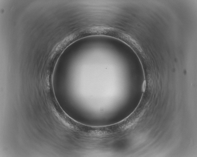 X0000062140633200512091216