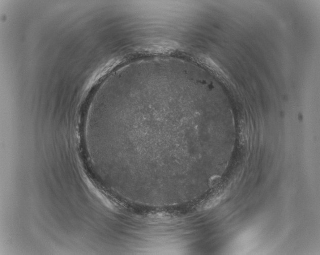 X0000062140634200512091216