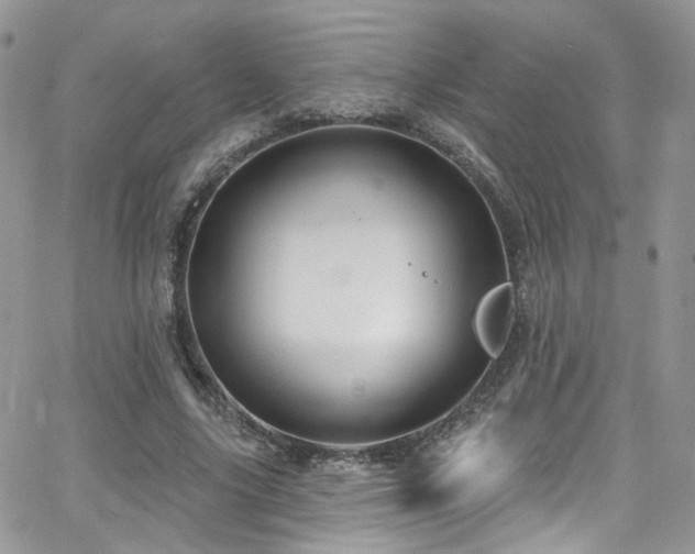 X0000062140635200512091216