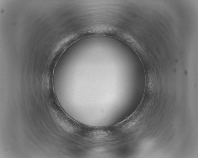 X0000062140636200512091216