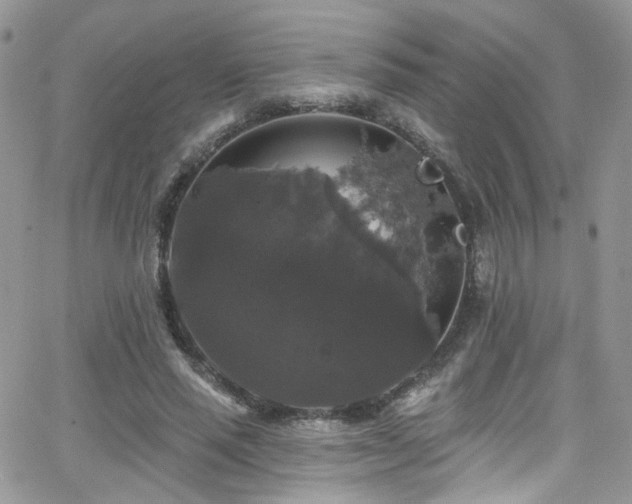 X0000062140637200512091216