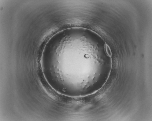 X0000062140638200512091216