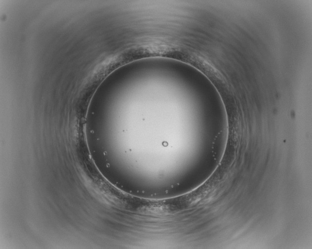 X0000062140639200512091216