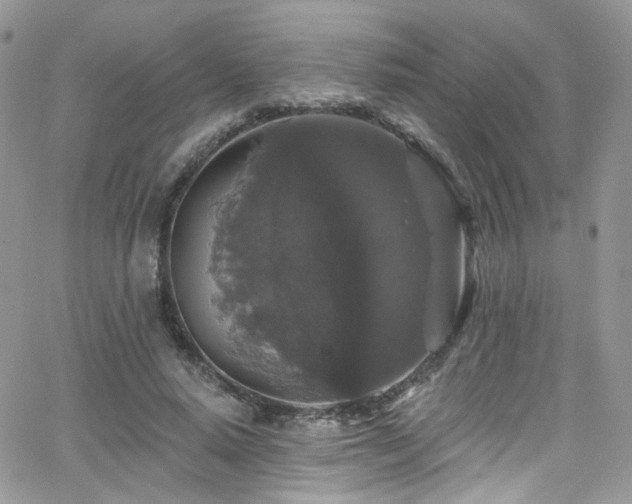 X0000062140640200512091216