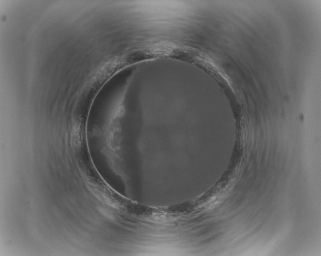 X0000062140641200512091216