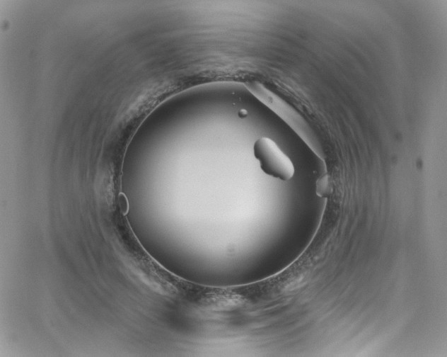 X0000062140642200512091216