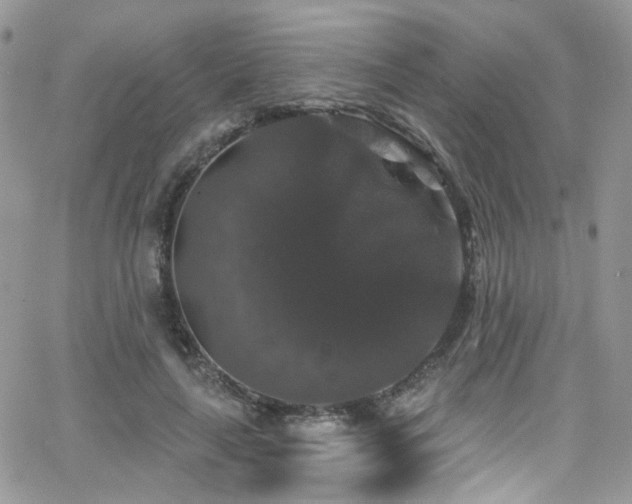 X0000062140643200512091216