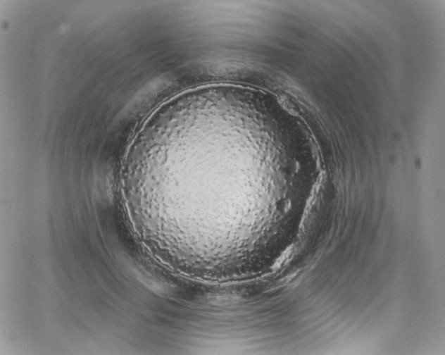 X0000062140644200512091216