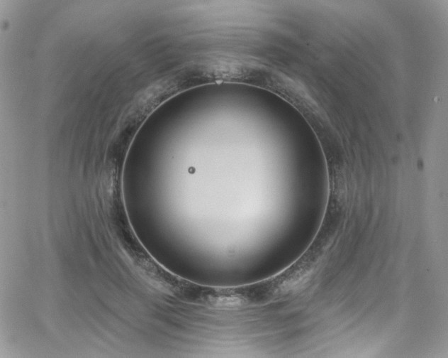 X0000062140645200512091216