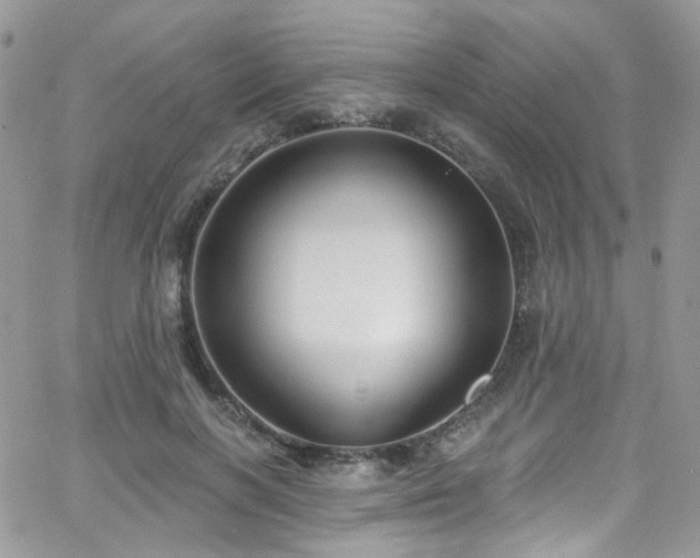 X0000062140646200512091216