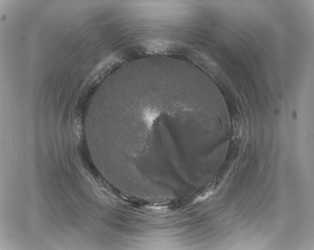 X0000062140648200512091216