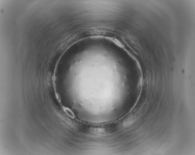 X0000062140649200512091216