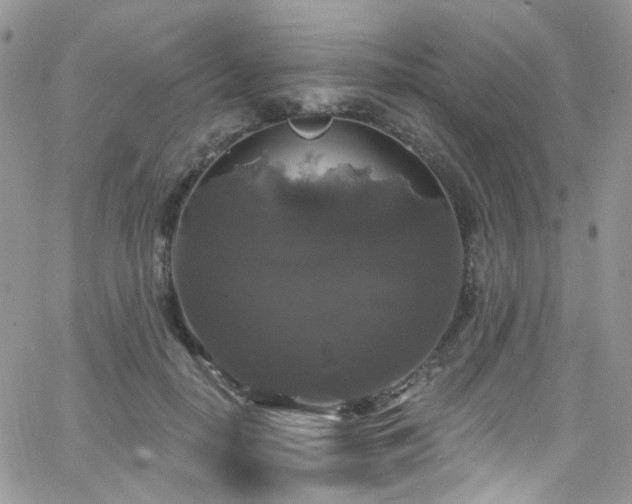 X0000062140650200512091216