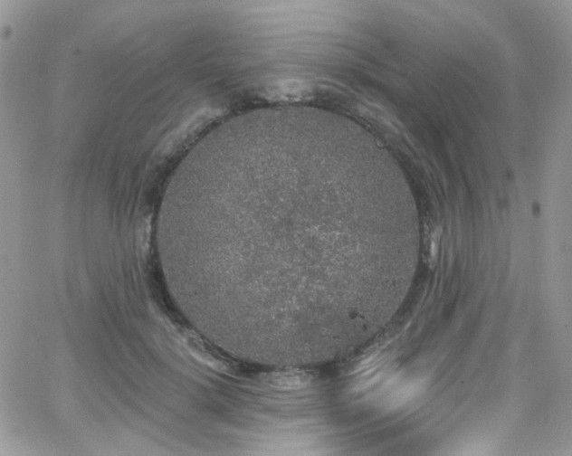 X0000062140652200512091216