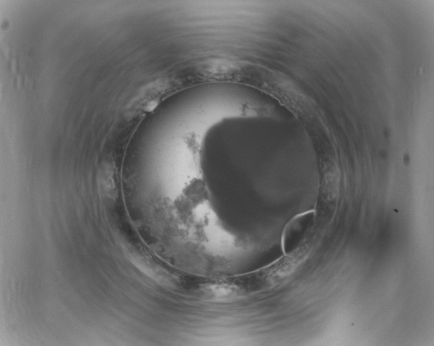 X0000062140654200512091216