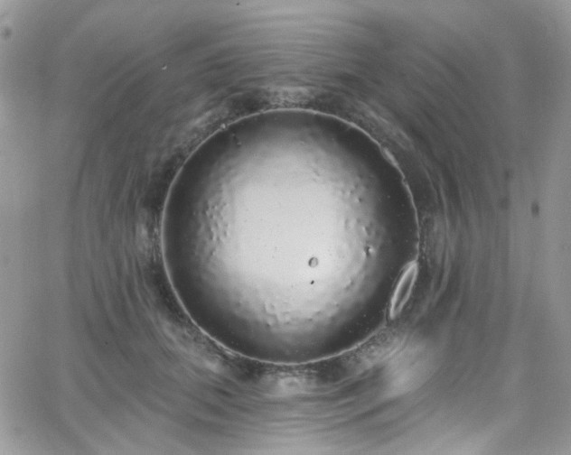 X0000062140655200512091216