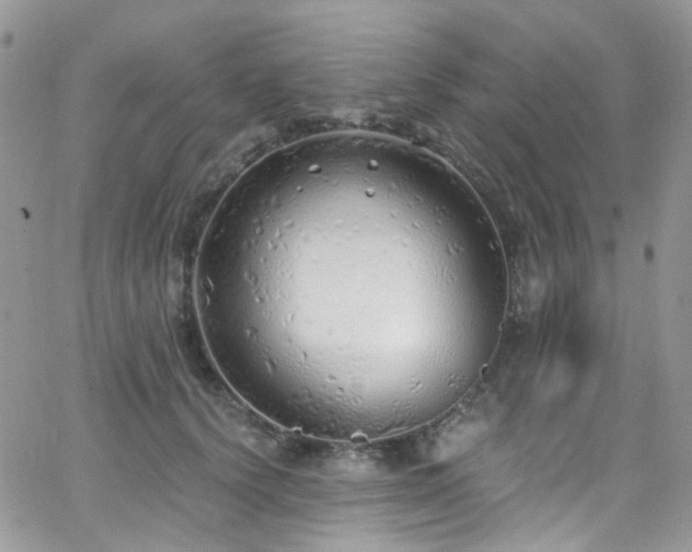 X0000062140656200512091216