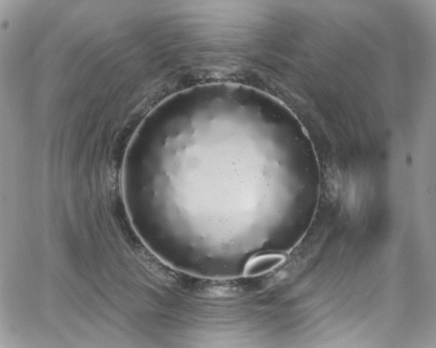 X0000062140657200512091216