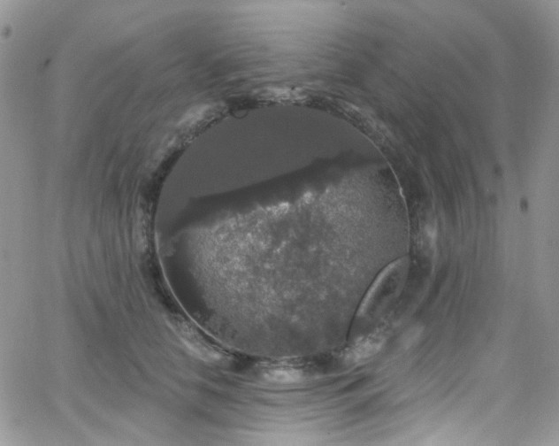 X0000062140658200512091216