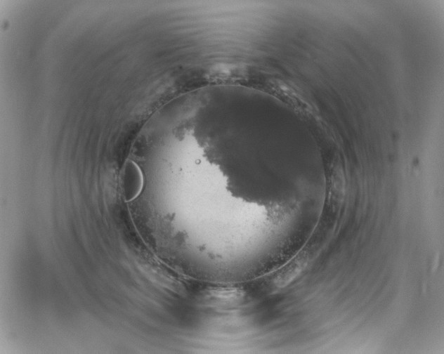 X0000062140659200512091216