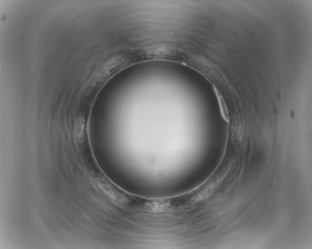 X0000062140660200512091216