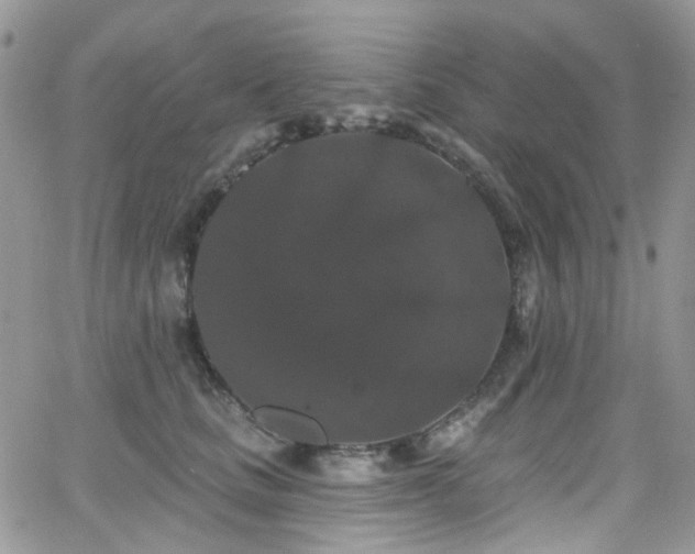 X0000062140661200512091216