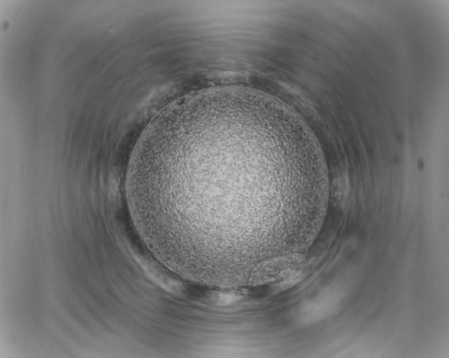 X0000062140662200512091216