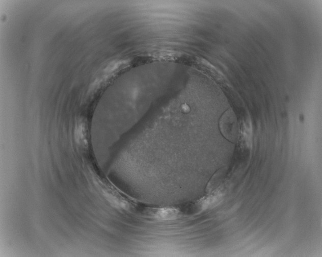 X0000062140663200512091216