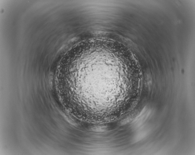 X0000062140664200512091216