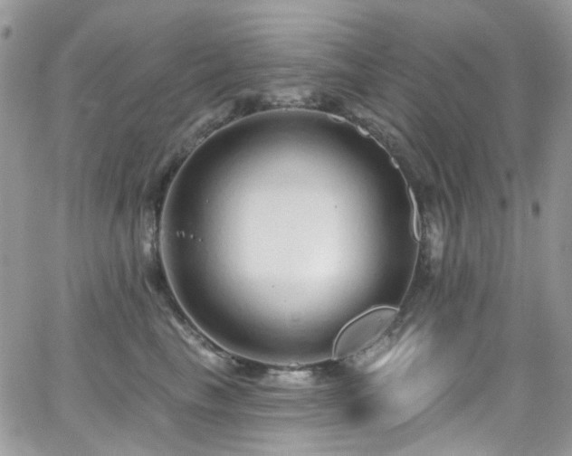 X0000062140665200512091216