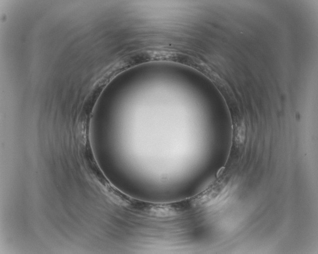 X0000062140666200512091216