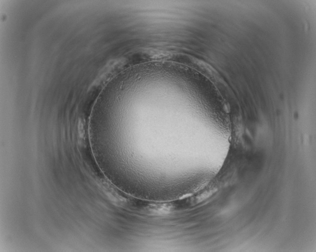 X0000062140667200512091216