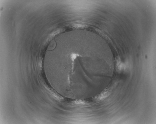 X0000062140668200512091216