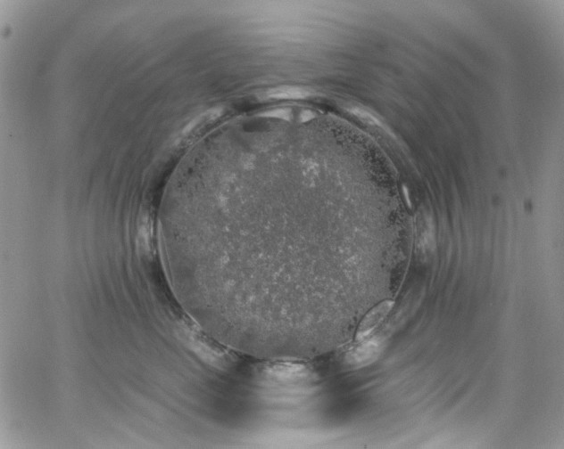 X0000062140669200512091216