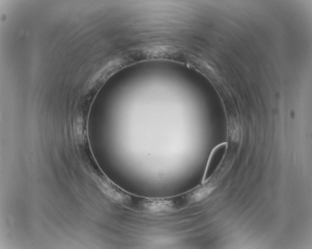 X0000062140670200512091216