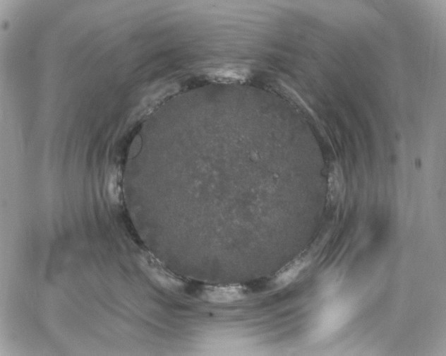 X0000062140671200512091216