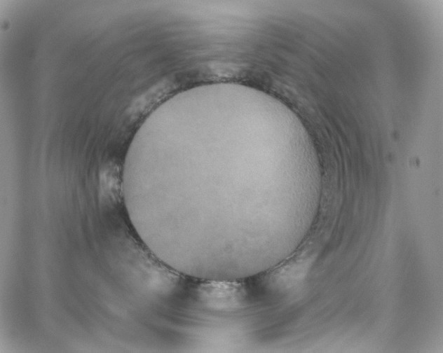 X0000062140672200512091216