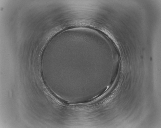 X0000062140673200512091216