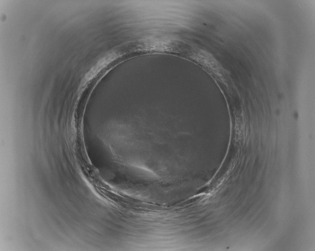 X0000062140674200512091216