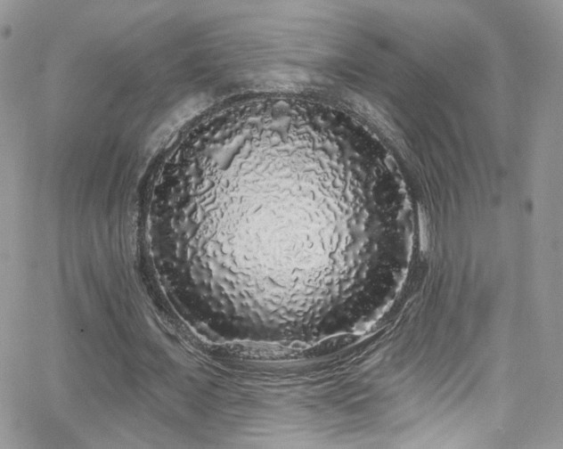 X0000062140675200512091216