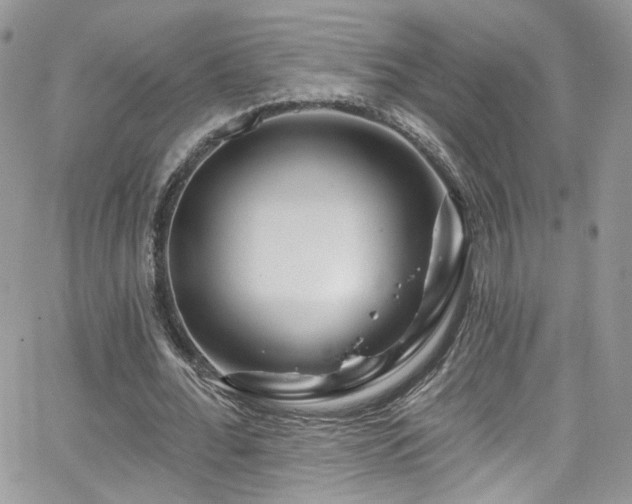 X0000062140676200512091216