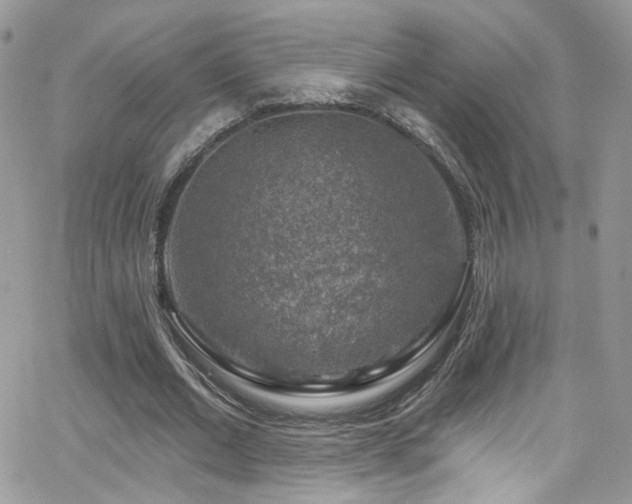 X0000062140677200512091216