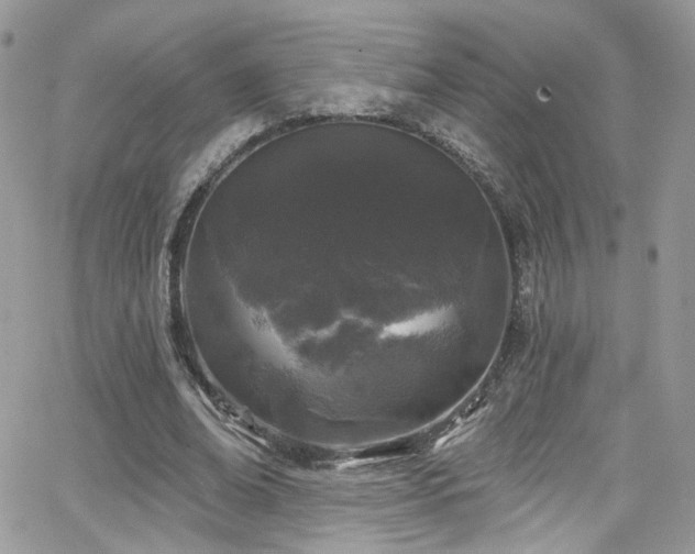 X0000062140678200512091216